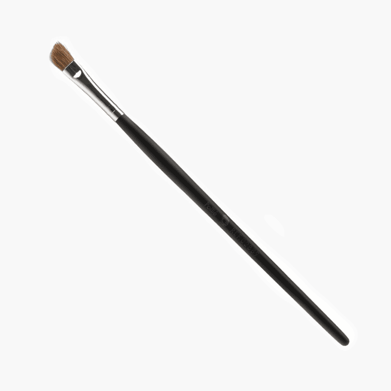 Pinceau professionnel ombre