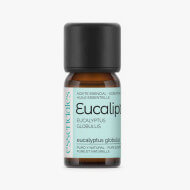 Aceite Esencial de Eucalipto 10 ml