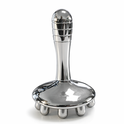 Champignon pour la...