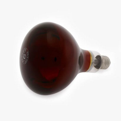 Infrared Bulb