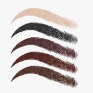 Pack 5 pigments microblading