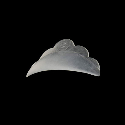 Chablon silicone