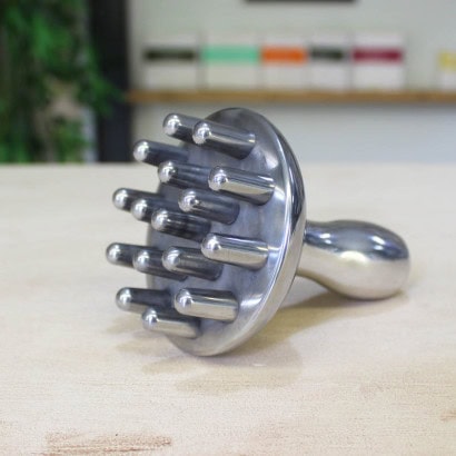 Champignon pour la métallothérapie