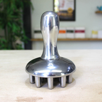 Champignon pour la métallothérapie